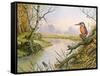 Kingfisher: Autumn River Scene-Carl Donner-Framed Stretched Canvas