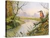 Kingfisher: Autumn River Scene-Carl Donner-Stretched Canvas