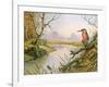 Kingfisher: Autumn River Scene-Carl Donner-Framed Giclee Print