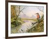 Kingfisher: Autumn River Scene-Carl Donner-Framed Giclee Print