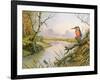 Kingfisher: Autumn River Scene-Carl Donner-Framed Giclee Print