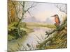 Kingfisher: Autumn River Scene-Carl Donner-Mounted Giclee Print