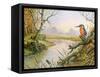 Kingfisher: Autumn River Scene-Carl Donner-Framed Stretched Canvas