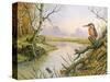 Kingfisher: Autumn River Scene-Carl Donner-Stretched Canvas