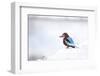 Kingfisher Bird Sitting on a White Wall in Udaipur, India-Erik Kruthoff-Framed Photographic Print