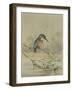 Kingfisher, Illustration from 'A History of British Birds' by William Yarrell, c.1905-10-Edward Adrian Wilson-Framed Giclee Print