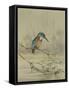 Kingfisher, Illustration from 'A History of British Birds' by William Yarrell, c.1905-10-Edward Adrian Wilson-Framed Stretched Canvas
