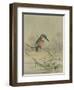 Kingfisher, Illustration from 'A History of British Birds' by William Yarrell, c.1905-10-Edward Adrian Wilson-Framed Giclee Print