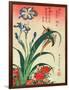 Kingfisher, Iris and Pinks, Pub. by Nishimura Eijudo, C.1832, One of a Set of Ten Prints-Katsushika Hokusai-Framed Giclee Print