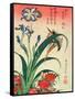 Kingfisher, Iris and Pinks, Pub. by Nishimura Eijudo, C.1832, One of a Set of Ten Prints-Katsushika Hokusai-Framed Stretched Canvas