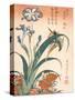 Kingfisher, Irises and Pinks (Colour Woodblock Print)-Katsushika Hokusai-Stretched Canvas