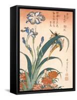 Kingfisher, Irises and Pinks (Colour Woodblock Print)-Katsushika Hokusai-Framed Stretched Canvas