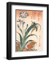 Kingfisher, Irises and Pinks (Colour Woodblock Print)-Katsushika Hokusai-Framed Premium Giclee Print