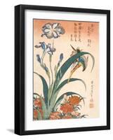 Kingfisher, Irises and Pinks (Colour Woodblock Print)-Katsushika Hokusai-Framed Giclee Print