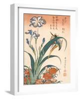 Kingfisher, Irises and Pinks (Colour Woodblock Print)-Katsushika Hokusai-Framed Giclee Print