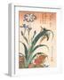 Kingfisher, Irises and Pinks (Colour Woodblock Print)-Katsushika Hokusai-Framed Giclee Print