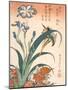 Kingfisher, Irises and Pinks (Colour Woodblock Print)-Katsushika Hokusai-Mounted Giclee Print