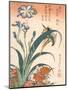 Kingfisher, Irises and Pinks (Colour Woodblock Print)-Katsushika Hokusai-Mounted Giclee Print