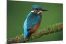 Wood Mount