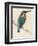 Kingfisher Sitting on a Thin Branch-Reverend Francis O. Morris-Framed Photographic Print