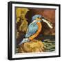 Kingfisher with Fish-null-Framed Giclee Print