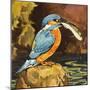 Kingfisher with Fish-null-Mounted Giclee Print