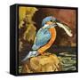 Kingfisher with Fish-null-Framed Stretched Canvas