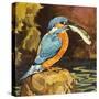 Kingfisher with Fish-null-Stretched Canvas