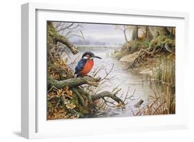 Kingfisher-Carl Donner-Framed Giclee Print