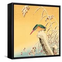 Kingfisher-Koson Ohara-Framed Stretched Canvas