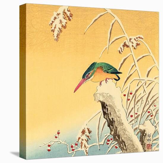 Kingfisher-Koson Ohara-Stretched Canvas