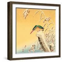 Kingfisher-Koson Ohara-Framed Giclee Print