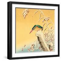 Kingfisher-Koson Ohara-Framed Giclee Print