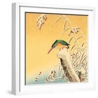 Kingfisher-Koson Ohara-Framed Giclee Print