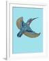 Kingfisher-Drawpaint Illustration-Framed Giclee Print