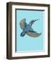 Kingfisher-Drawpaint Illustration-Framed Giclee Print