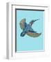 Kingfisher-Drawpaint Illustration-Framed Giclee Print