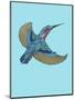 Kingfisher-Drawpaint Illustration-Mounted Giclee Print