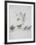 Kingfishers, Curlew and Other Birds, 17Th Century (Drawing)-Francis Barlow-Framed Giclee Print