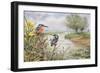 Kingfishers on the Riverbank-Carl Donner-Framed Giclee Print
