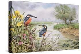 Kingfishers on the Riverbank-Carl Donner-Stretched Canvas