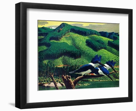 Kingfishers-Stan Galli-Framed Giclee Print