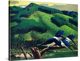 Kingfishers-Stan Galli-Stretched Canvas