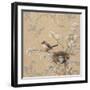 Kinglet and Pear-Jill Schultz McGannon-Framed Art Print