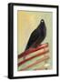 Kingly Court Pigeon, 2013,-Nancy Moniz Charalambous-Framed Giclee Print