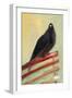 Kingly Court Pigeon, 2013,-Nancy Moniz Charalambous-Framed Giclee Print