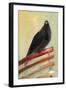 Kingly Court Pigeon, 2013,-Nancy Moniz Charalambous-Framed Giclee Print