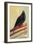 Kingly Court Pigeon, 2013-Nancy Moniz-Framed Giclee Print
