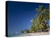 Kings Beach, Barbados, Caribbean Islands-null-Stretched Canvas