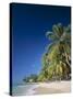 Kings Beach, Barbados, Caribbean Islands-null-Stretched Canvas